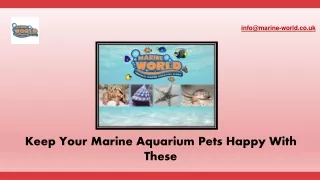 Keep Your Marine Aquarium Pets Happy With These