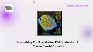 Everything For The Marine Fish Enthusiast At Marine World Aquatics