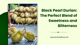 Black Pearl Durian