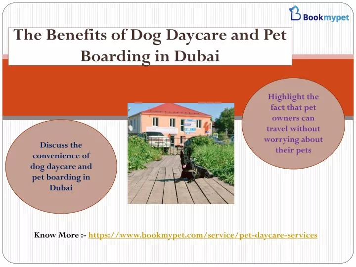 the benefits of dog daycare and pet boarding in dubai