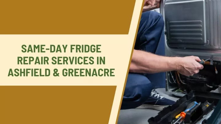 same day fridge repair services in ashfield