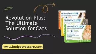 Revolution Plus  : The Ultimate Solution for Cat