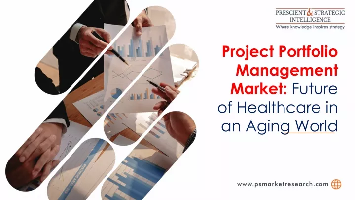 project portfolio management market future
