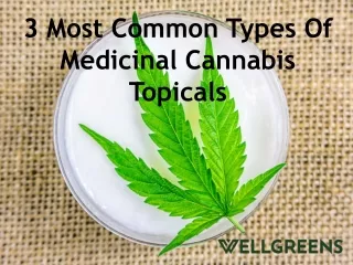 3 Most Common Types Of Medicinal Cannabis Topicals