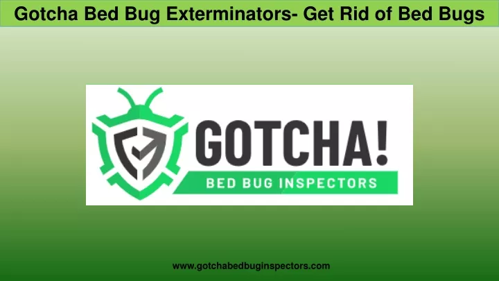 gotcha bed bug exterminators get rid of bed bugs