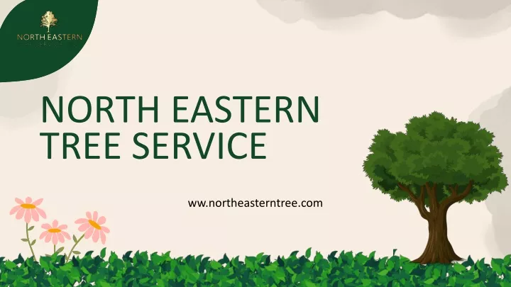 north eastern tree service