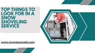 Top Things to Look for in a Snow Shoveling Service