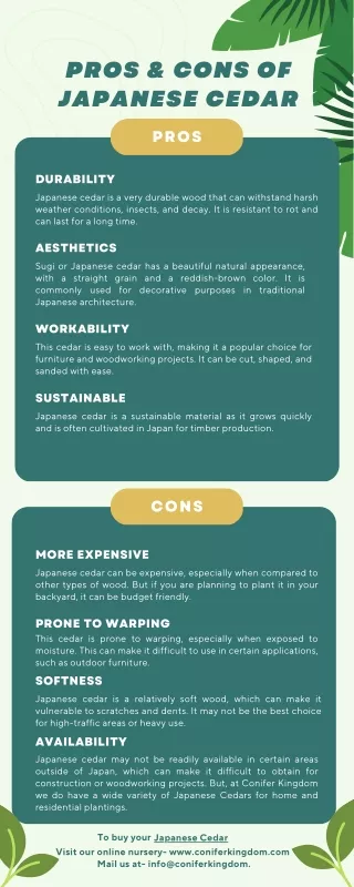 pros cons of japanese cedar
