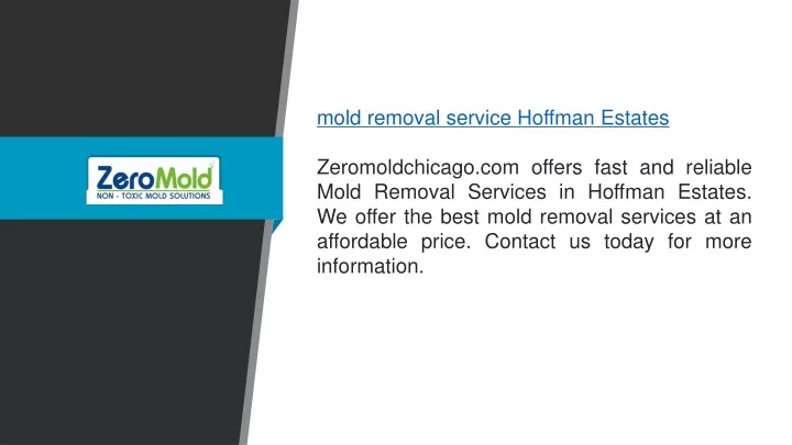 mold removal service hoffman estates