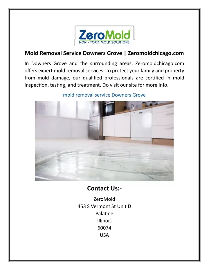 mold removal service downers grove