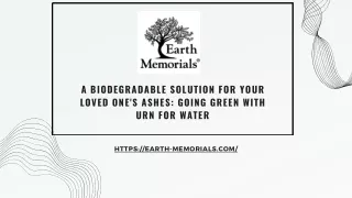 A Biodegradable Solution for Your Loved One's Ashes Going Green with Urn for Water