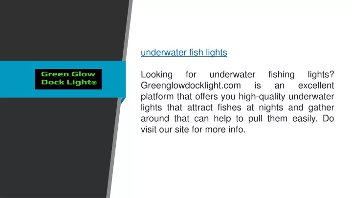 underwater fish lights looking for underwater