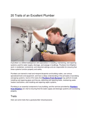 20 Traits of an Excellent Plumber