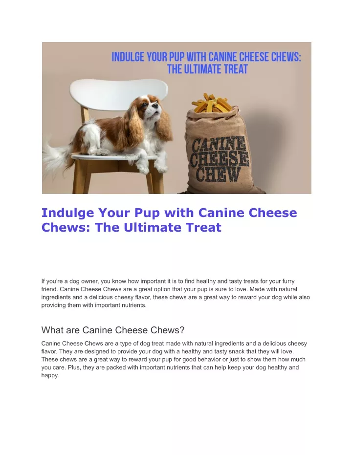 indulge your pup with canine cheese chews