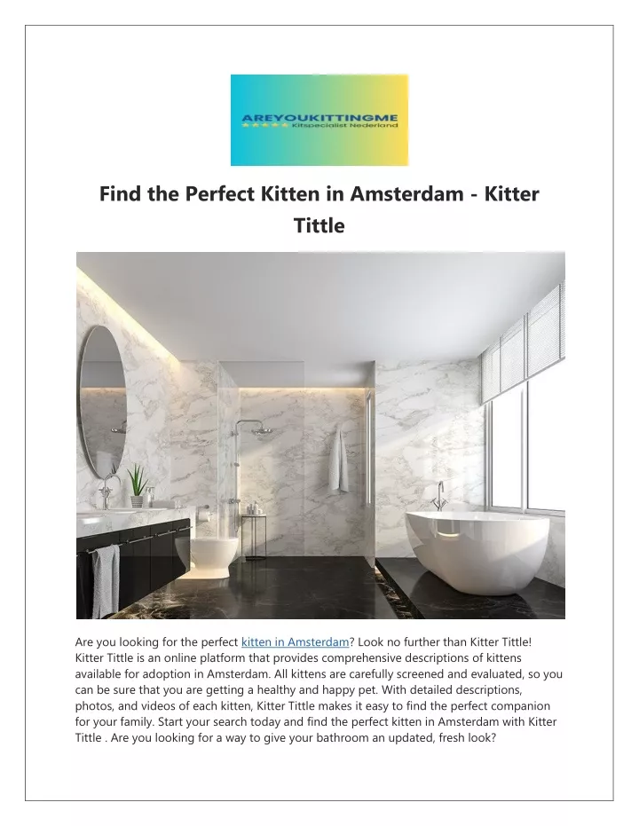 find the perfect kitten in amsterdam kitter tittle