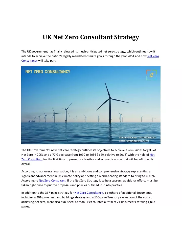 uk net zero consultant strategy