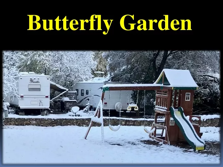 butterfly garden