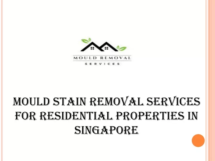 mould stain removal services for residential