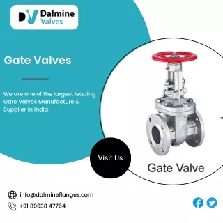 Gate Valves| Ball Valves| Check Valves| Globe Valves-Dalmine Valves