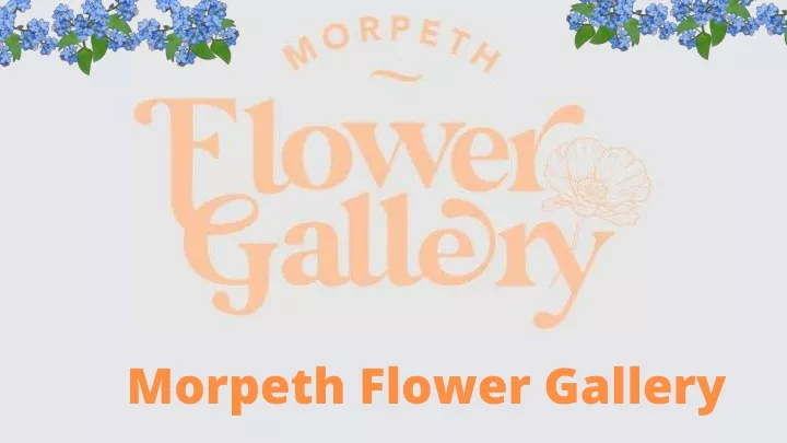 morpeth flower gallery