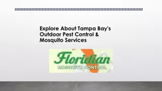 Explore About Tampa Bay's Outdoor Pest Control & Mosquito Services