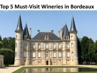 Top 5 Must-Visit Wineries in Bordeaux