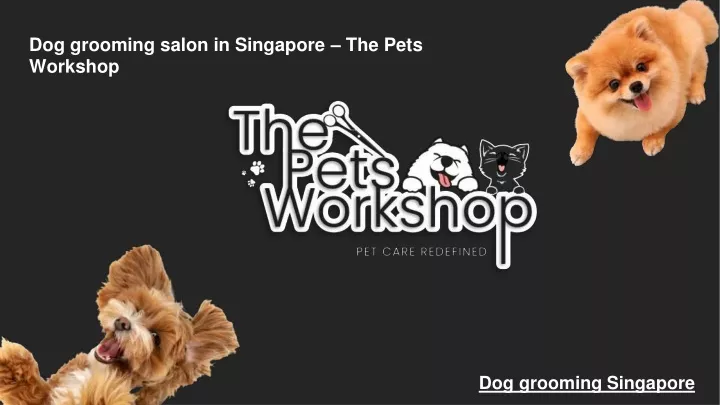 dog grooming salon in singapore the pets workshop
