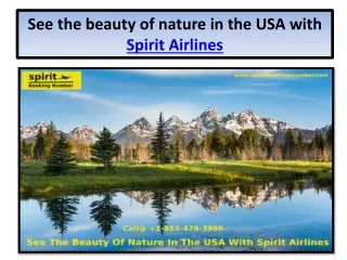 Grab the finest deals on Spirit Airlines Official site