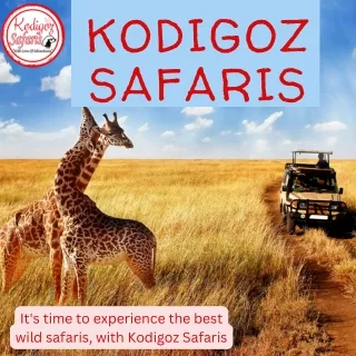 One Day Affordable Arusha National Park Safari - Kodigoz Safaris