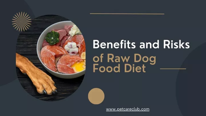 benefits and risks of raw dog food diet