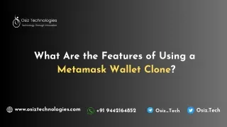 What Are the Features of Using a Metamask Wallet Clone