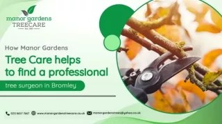 How Manor Gardens Tree Care helps to find a professional tree surgeon in Bromley