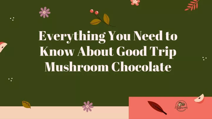 everything you need to know about good trip mushroom chocolate