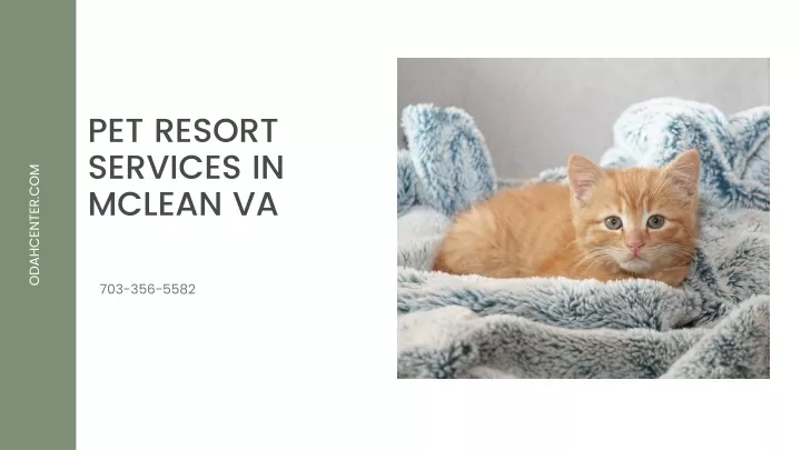 pet resort services in mclean va