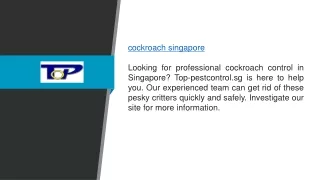 cockroach singapore looking for professional