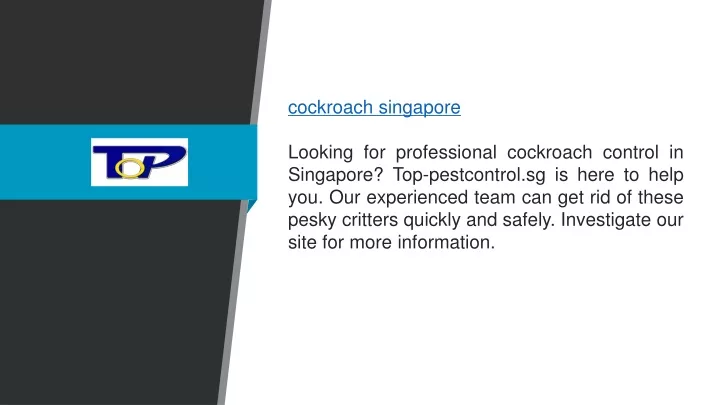 cockroach singapore looking for professional