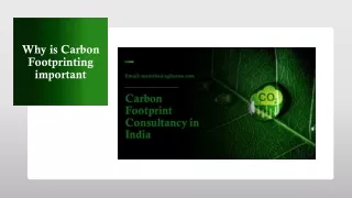 why is carbon footprinting important