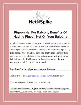 Pigeon Net For Balcony Benefits Of Having Pigeon Net On Your Balcony