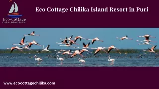 Eco Cottage Chilika Island Resort in Puri