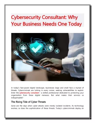 Cybersecurity Consultant - Why Your Business Needs One Today