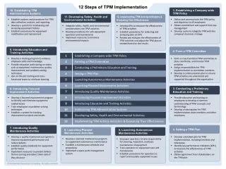 The 12 Steps of TPM Implementation Poster