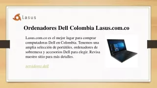 lasus 11