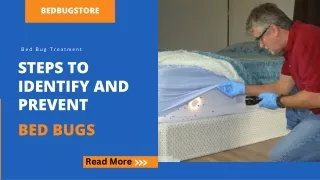 Find Easy Steps to Identify and Prevent Bed Bugs
