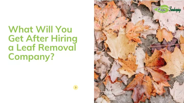 what will you get after hiring a leaf removal