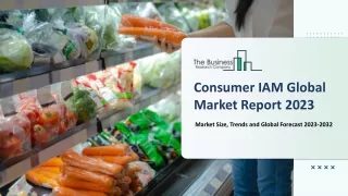consumer iam global market report 2023