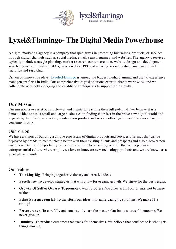 lyxel flamingo the digital media powerhouse