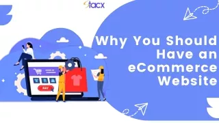 Why You Should Have an eCommerce Website