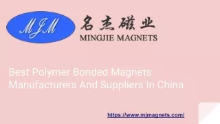 Best Polymer Bonded Magnets Manufacturers And Suppliers In China
