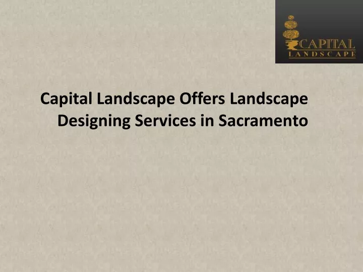 capital landscape offers landscape designing