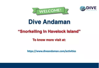 dive andaman